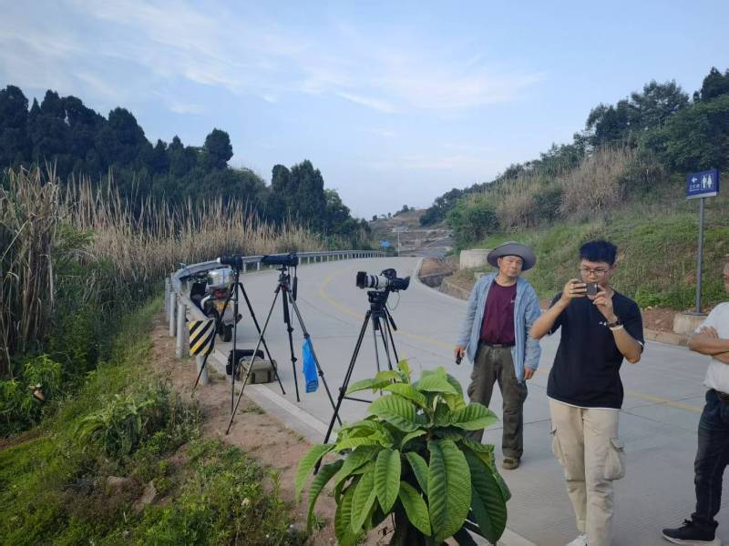 珠山区电商产品视频拍摄制作：如何打造高转化的电商视觉内容？